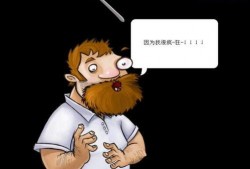 小戴夫爆料视频大全,揭秘幕后真相与精彩瞬间