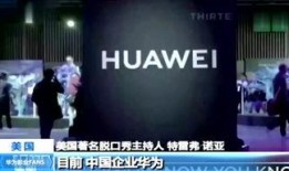 美国生活爆料视频播放大全,视频大全揭秘异国风情与真实生活