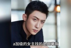 娱乐圈吃瓜爆料陈赫是谁,娱乐圈吃瓜爆料中的焦点人物