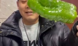 近期网红合集吃瓜事件,揭秘近期网络热点背后的真相