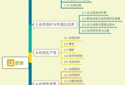 观光爆料箱视频大全集,全景式游览，揭秘热门景点背后的故事
