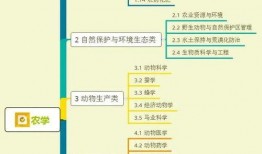 观光爆料箱视频大全集,全景式游览，揭秘热门景点背后的故事