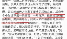 董洁内部爆料视频最新版,真相与争议并存