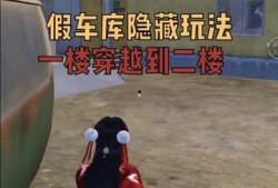 和平精英爆料搞笑视频,笑料百出，玩家们直呼“笑到肚子疼”