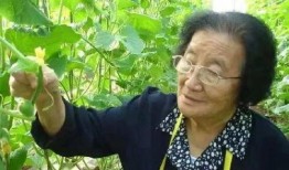 娱乐吃瓜酱善良的人是谁