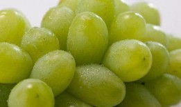 爆料网红提子的新闻视频,最新视频曝光引发热议