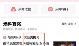 头条爆料怎么样加视频,如何利用头条爆料轻松制作视频概述文章副标题