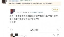 张恒朋友圈最新爆料,揭秘某明星婚姻内幕，惊人真相曝光！