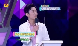 维嘉爆料何炅视频,一场温馨的友情对话