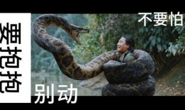 《巨蟒》1在线观看,奇幻冒险之旅——探寻神秘古墓的惊险历程