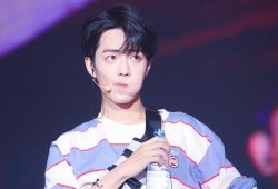 肖战鹿晗最新爆料,揭秘娱乐圈幕后真相