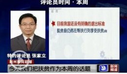 荆州新闻怎么爆料的啊视频,视频爆料事件始末