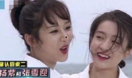 博主爆料杨紫茶叶事件视频,揭秘背后真相与网友热议