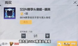 和平精英ss14赛季手册爆料视频,全新爆料视频深度解析