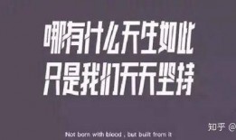娱乐爆料文案情绪视频,情绪视频揭秘明星幕后故事