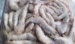 南美大白虾爆料视频播放,视频播放背后的惊人真相