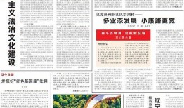 人民日报新闻爆料,揭秘真相，引发社会关注
