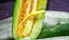 吕四网红吃瓜,揭秘网络红人的幕后生活