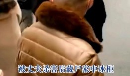 四川网红爆料视频大全集,揭秘网络红人背后的故事