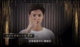 大林哥被爆料视频大全集,揭秘背后真相与争议