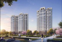 宿州院子事故爆料视频播放