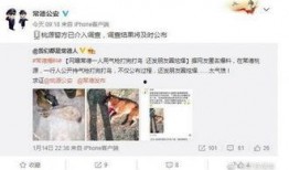 青州匿名爆料案件视频,揭秘背后真相