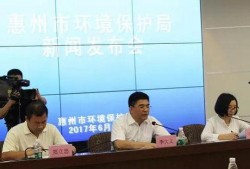 惠州环保局最新爆料,揭秘环保整治背后的真相与挑战