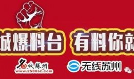苏州新闻最新爆料,揭秘某神秘项目背后真相