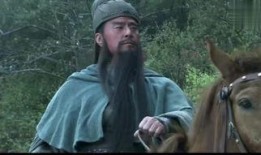 霸王在线观看,穿越时空的王者传奇