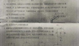 比特萝卜最新模组爆料是真的吗,真实性揭秘，带你一探究竟