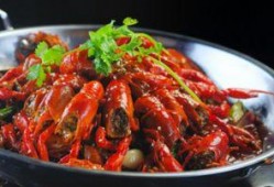 龙虾商家爆料怎么办啊视频,视频内容深度解析