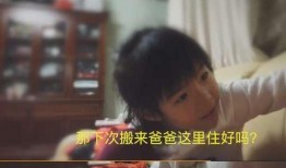 解说居居爆料视频大全集,视频大全集精彩瞬间回顾