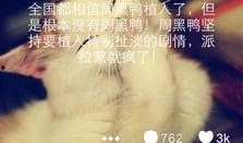 微博最新爆料周黑鸭是谁,微博最新爆料引发热议！”