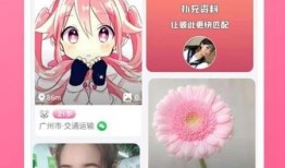 小米14最全爆料视频下载,从性能到设计，最全爆料视频深度解析