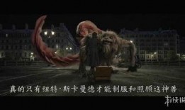 驺吾视频爆料,揭秘娱乐圈幕后真相