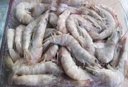 南美大白虾爆料视频播放,视频播放背后的惊人真相