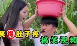 幽默搞笑视频爆料大全集,笑到肚子疼的欢乐盛宴
