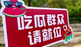 2024年最新吃瓜爆料,揭秘明星幕后真相