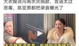 陈亚楠身价爆料视频,视频爆料背后的惊人数字