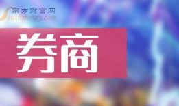 奉贤头条爆料新闻最新消息,最新爆料！重大事件引发关注，详情即将揭晓